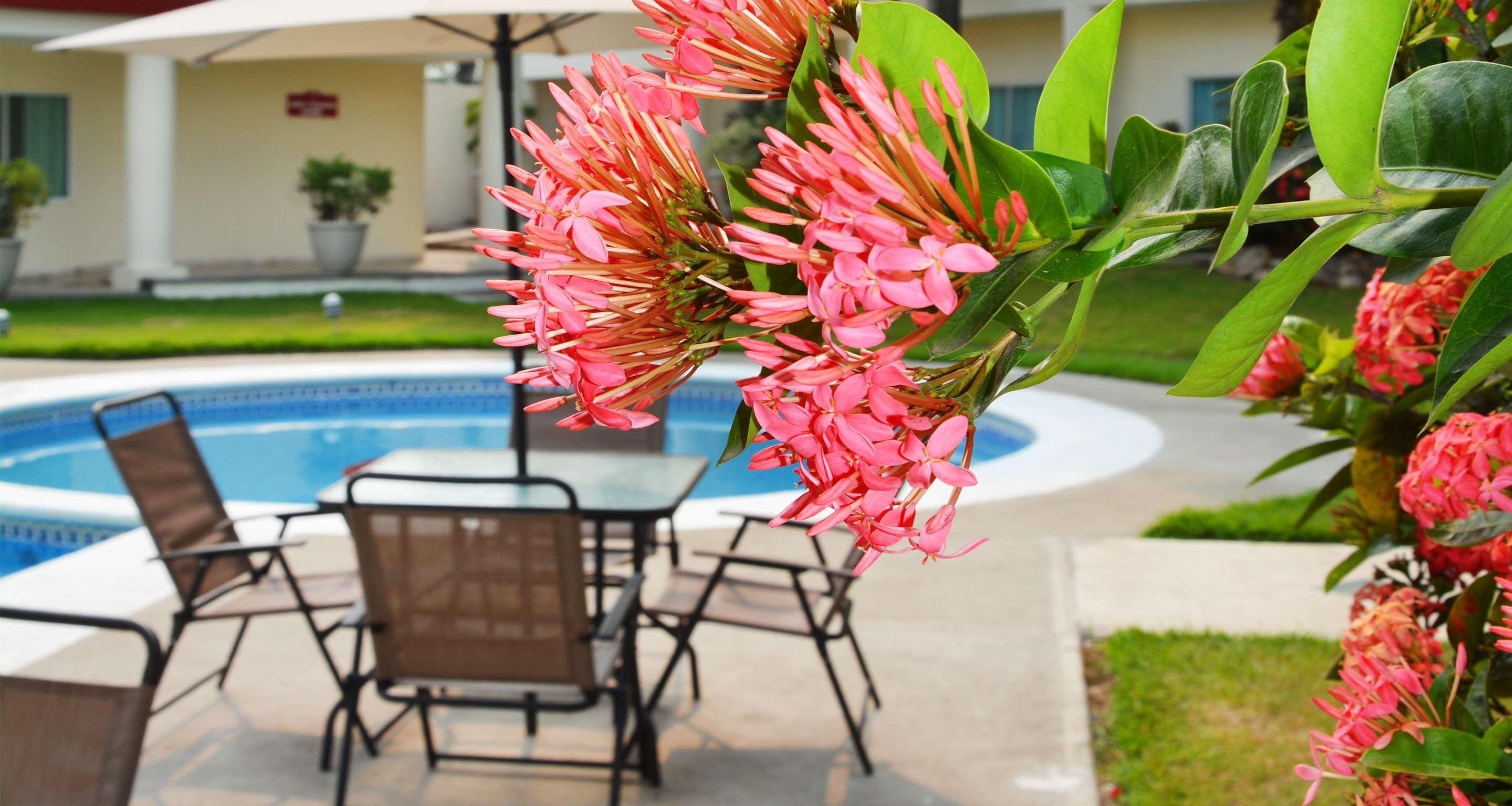 Gran Tuxtepec Plaza Hotel Екстериор снимка